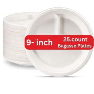 Disposable Baggase Plates