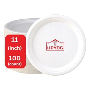 Disposable Baggage Plate 11inch